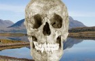 The Annat Skull