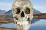 The Annat Skull