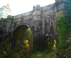 The Dog Suicide Bridge