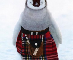 “Scotland As Cold As The South Pole”