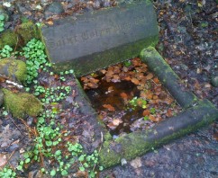 St Columba’s Well