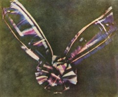 World’s First Colour Photo of Tartan Ribbon