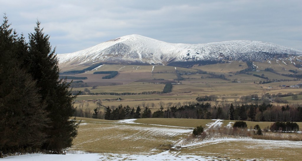 lamington-hill