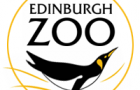 Edinburgh Zoo!