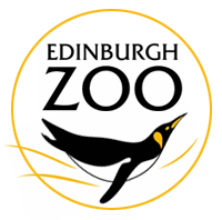 Edinburgh Zoo!